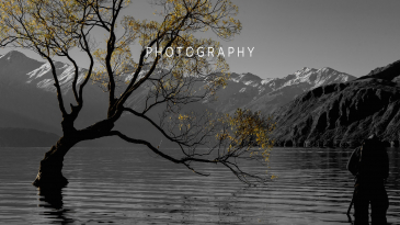 Services Photography main