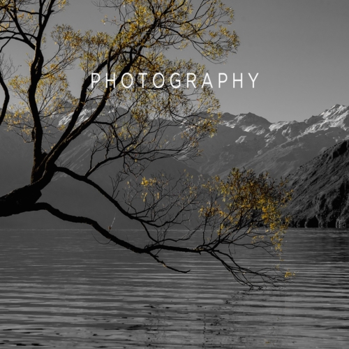 Services Photography main