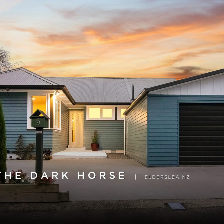 THE DARK HORSE