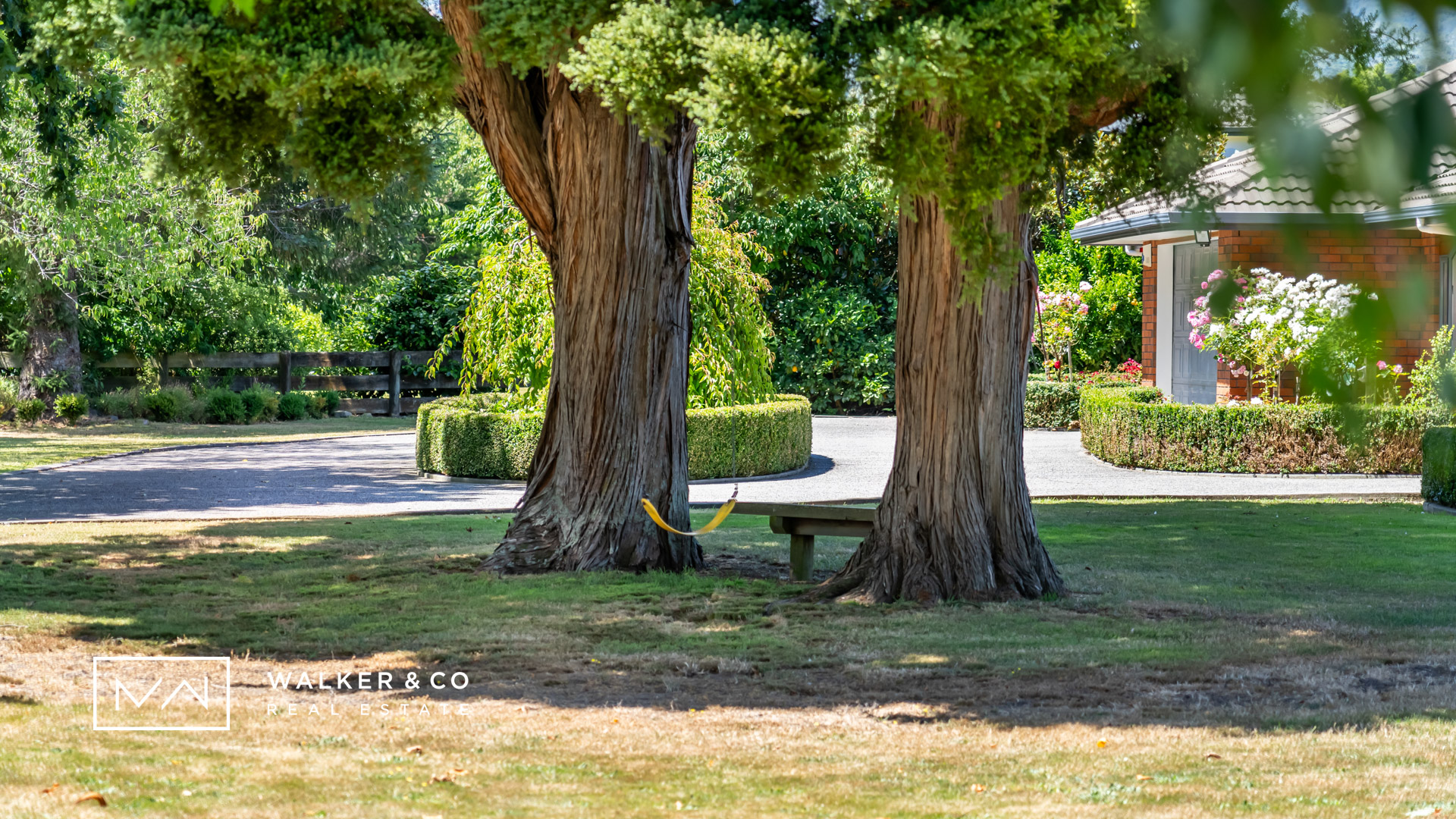 12 Insert Totara trees