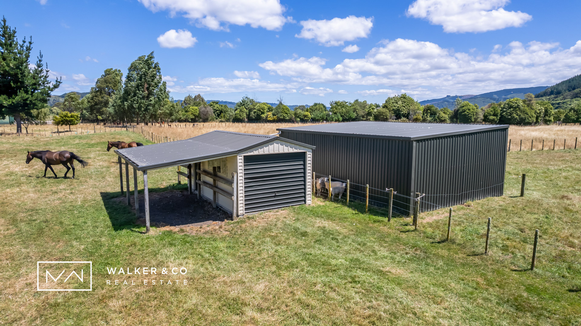 16 Barn shed
