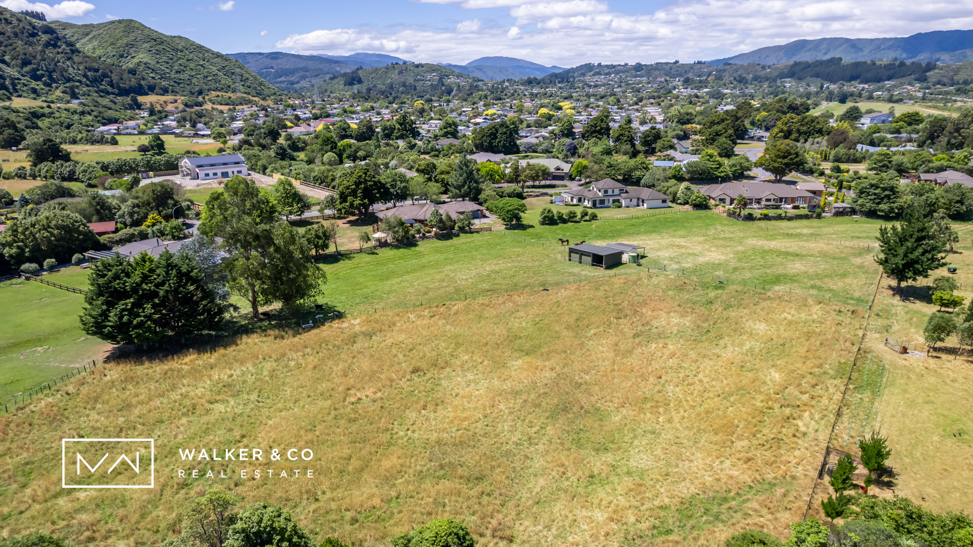 4 paddocks