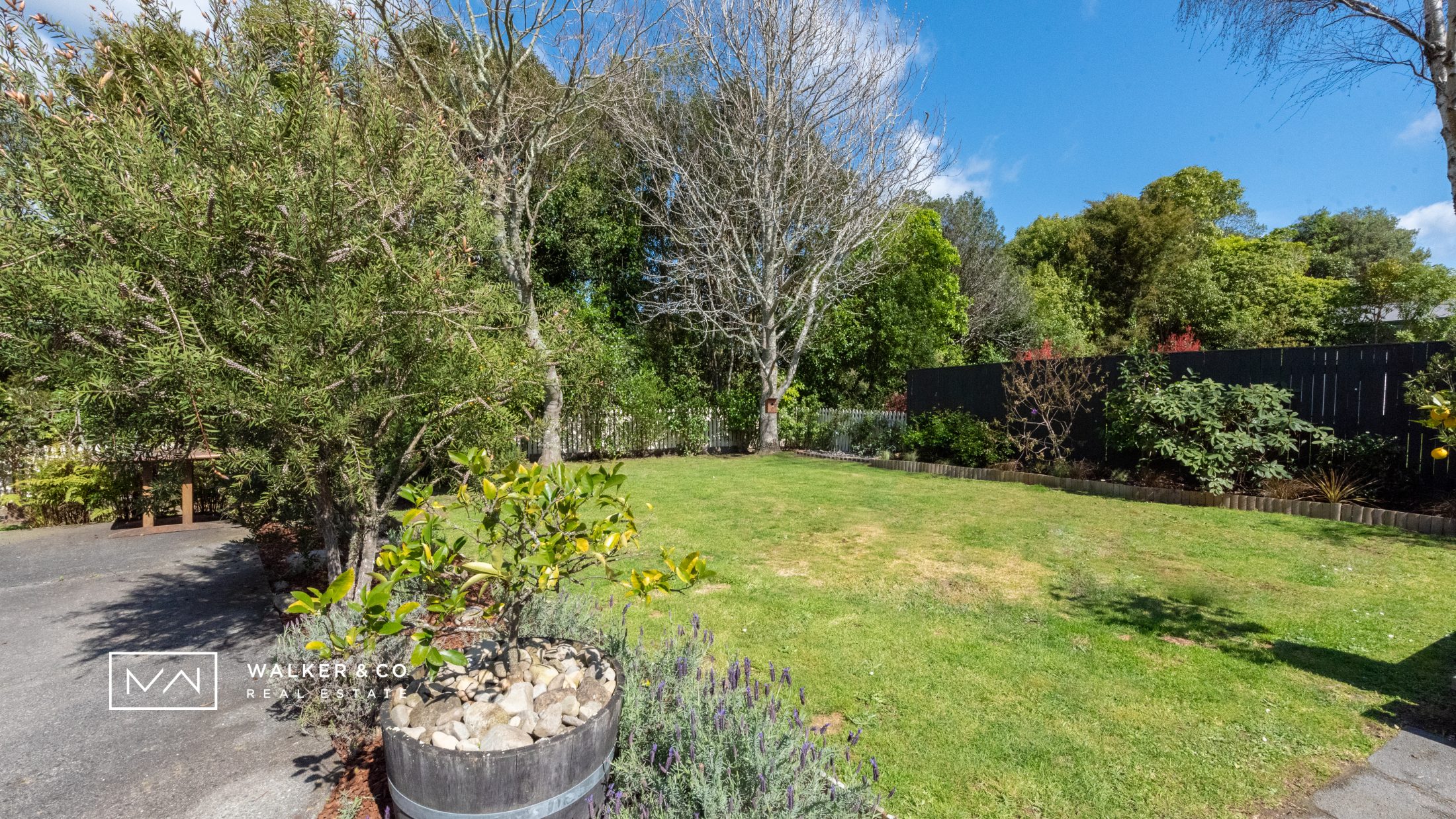 20 backyard