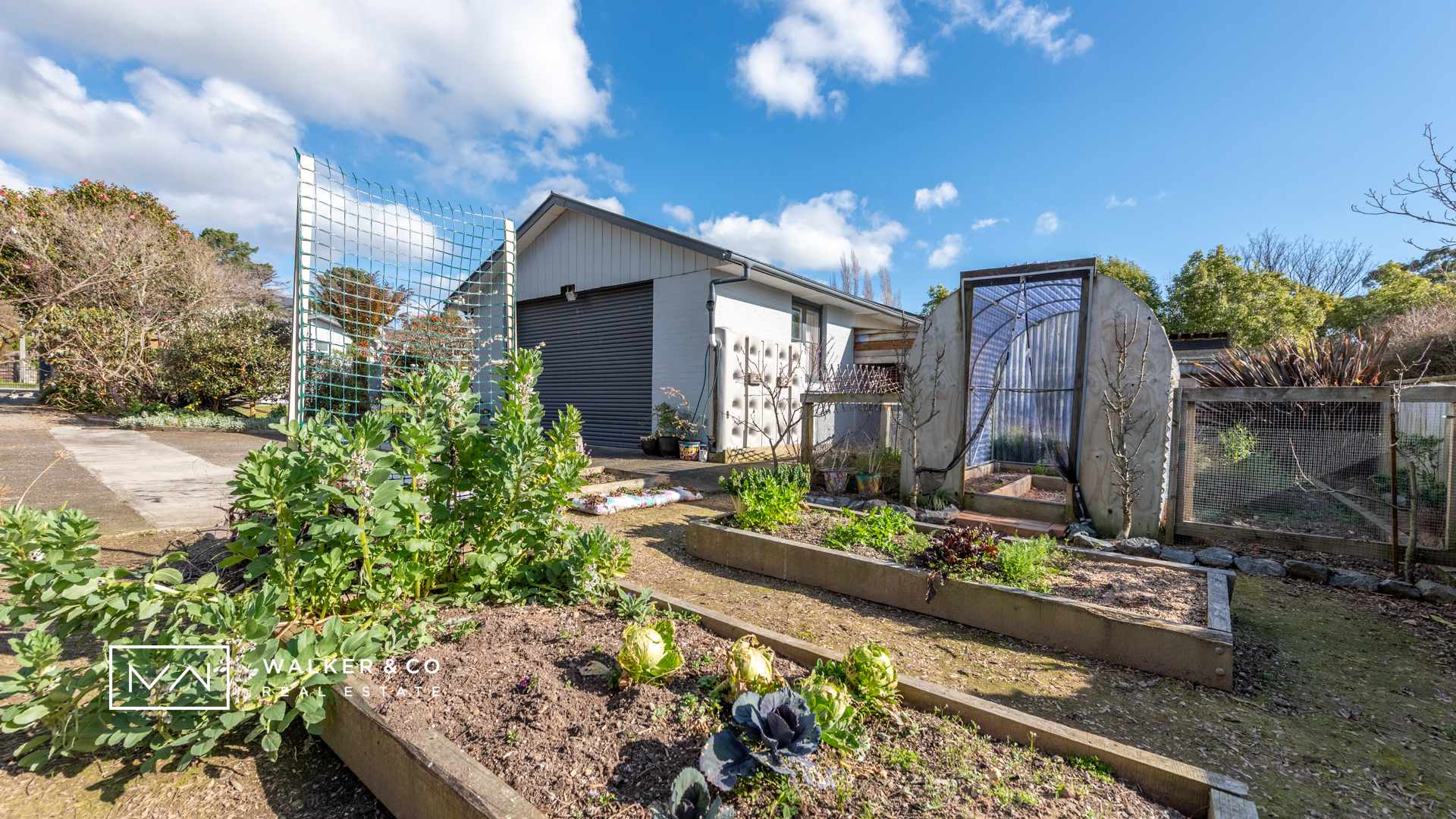 WCO_2448-HDR