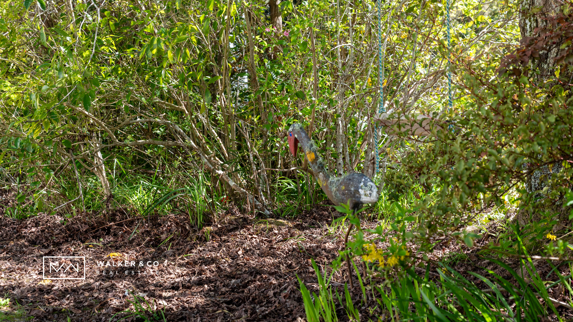 WCO_7801-HDR